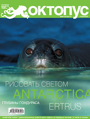 Octopus nr. 4/2005 cover
